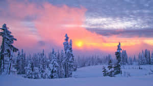 Enjoying The Winter Sights In New Hampshire Wallpaper