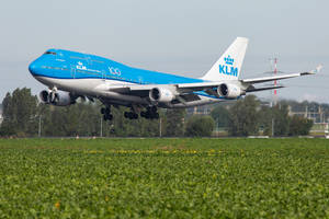 Enlivening Klm Royal Dutch Airlines Takeoff Wallpaper