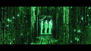 Enter The Green Matrix Wallpaper