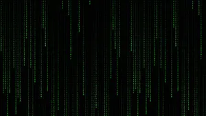 Enter The Matrix Wallpaper