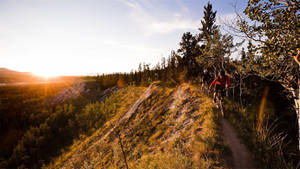 Epic Bike Ride In Nature Trails Wallpaper