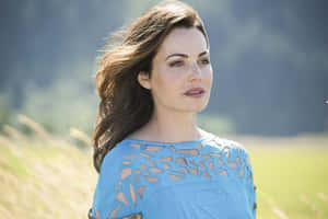 Erica Durance Blue Dress Superman Symbol Wallpaper