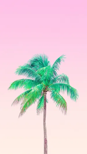 Escape To Paradise In An Aesthetic Tropical Oasis Wallpaper