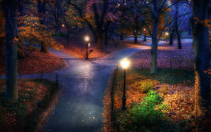 Evening Street Park Lights Wallpaper