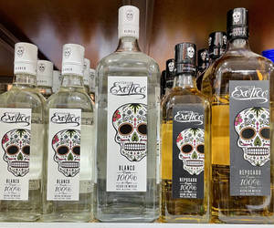 Exotico Tequila Collections Different Sizes Wallpaper