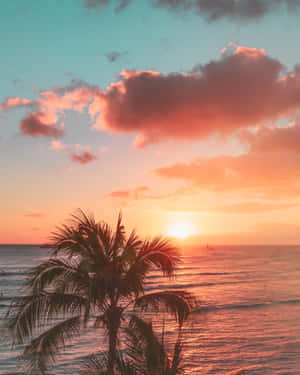 Experience Aesthetic Hawaii Wallpaper