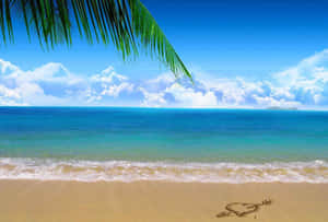 Experience The Beautiful Beach With A Stunning Display, In Stunning Dual-monitor View. Wallpaper