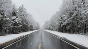 Experience The Beauty Of A Winter Forest Wallpaper