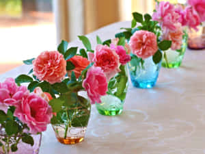 Experience The Beauty Of Freshly Blooming Roses Wallpaper