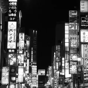 Experience The Beauty Of Japan In Black And White Wallpaper