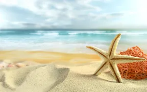 Experience The Excitement Of Summer On A Beach Wallpaper