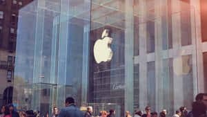 Experience The Hustle And Bustle Of New York City's Times Square. Wallpaper
