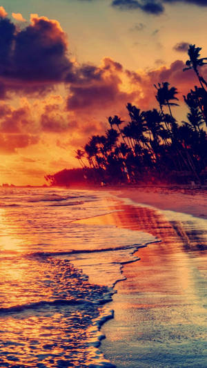 Experience The Magic Of Nature's Beautiful Sunset At The Beach Shoreline. Wallpaper