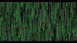 Experience The Power Of Matrix Wallpaper