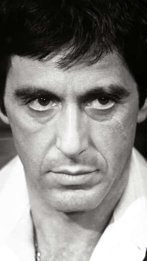 Experience The World Of Scarface On Your Iphone Wallpaper