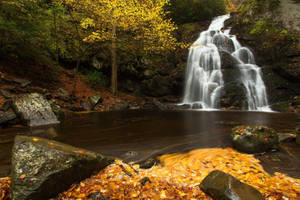 Explore The Beauty Of The Great Smoky Mountains Wallpaper