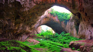 Explore The Beauty Of The Great Wall Of China Wallpaper