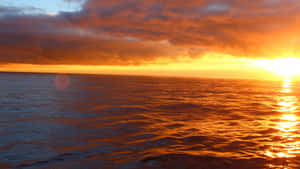 Explore The Beauty Of The Pretty Ocean Wallpaper
