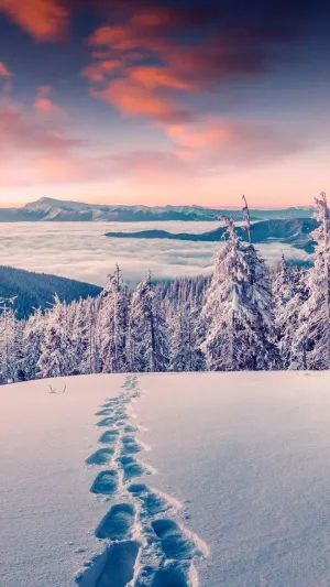 Explore The Beauty Of Winter Wallpaper