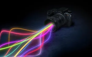 Explore The Bold And Dynamic Color Palettes Of Nature Wallpaper