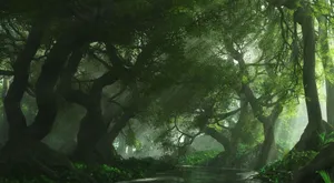 Explore The Enchanting Anime Forest! Wallpaper