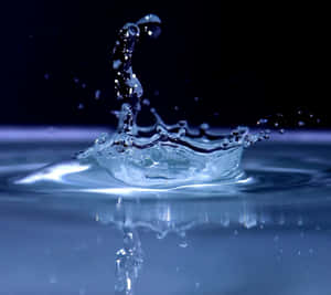 Explore The Limitless Connectivity Of The Samsung Galaxy S3 Wallpaper