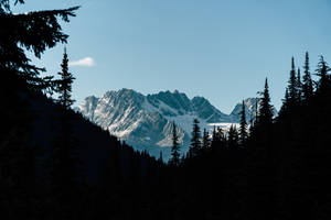 Explore The Mysterious Dark Forest And Its Snowy Mountains. Wallpaper