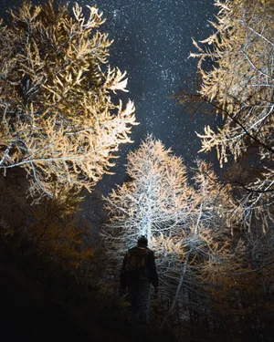 Explore The Starry Night Sky With An Ombre Twist Wallpaper