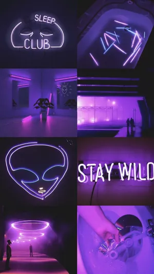 Explore The Striking Beauty Of A Dark Neon Purple Aesthetic. Wallpaper