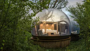 Explore The Wonders Of Nature Wallpaper