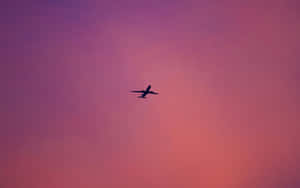 Explore The Wonders Of The Sky In A Pink Plane! Wallpaper