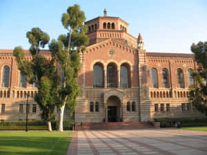 Explore Ucla’s Stunning Campus In Los Angeles Wallpaper