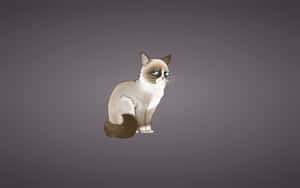 Expressive Sad Cat Gray Background.jpg Wallpaper