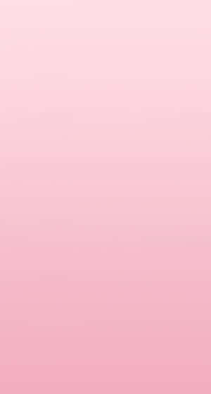 Exquisite Solid-hued Pink Background. Wallpaper