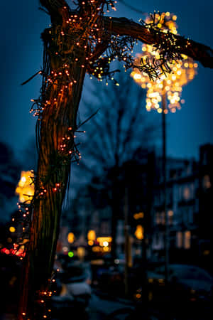 Fairy Lights On Wood During Evening Wallpaper