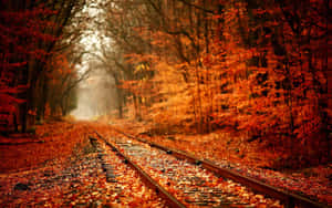 Fall Colors Train Tracks With Leaves Wallpaper