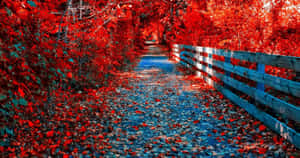 Fall Foliage In Earthy Hues Of Rust And Red Wallpaper