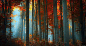 Fall Forest Aesthetic Desktop Wallpaper