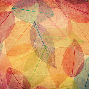 Fall Ipad Leaves Painting Wallpaper