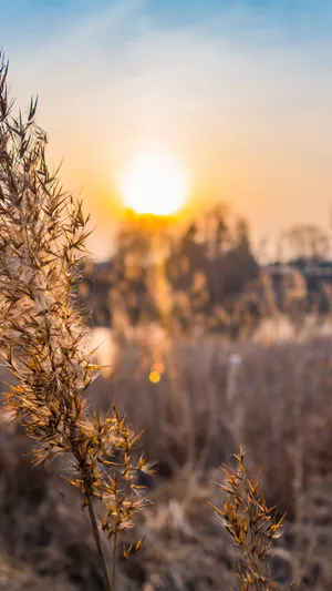 Fall Weather Sunset Wallpaper