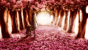 Fallen Pink Flowers Wallpaper