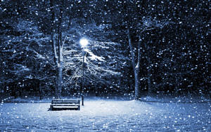 Falling Snow Winter Night Wallpaper