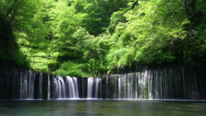 Falls And Green Trees Congo Wallpaper