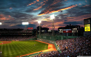 Fans Cheer On Their Team At The Baseball Stadium Wallpaper