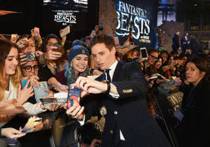 Fantastic Beasts And Where To Find Them Eddie Redmayne Wallpaper