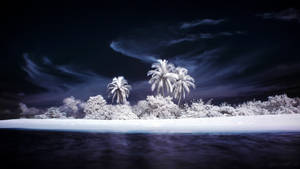 Fantasy Island In White Color Wallpaper