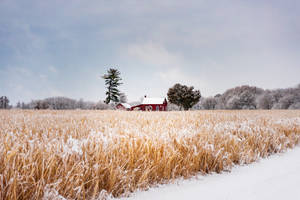 Farmhouse In Winter Wallpaper