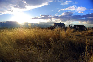 Farmhouse With Dried Golden Grass Wallpaper