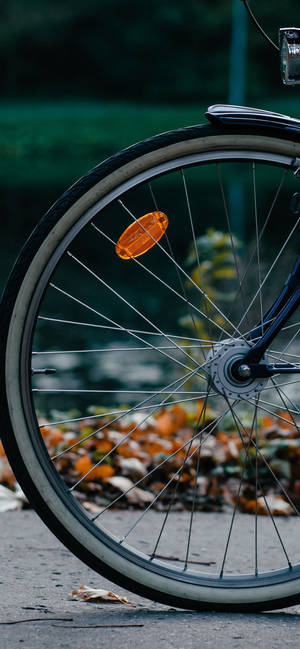 Fascinating Bicycle Iphone Wheel Bokeh Shot Wallpaper