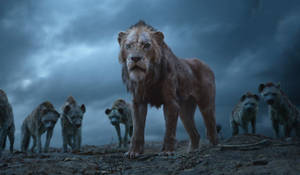 “fear Not, I Stand Before You” - Scar, The Lion King Wallpaper